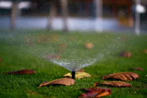 lawn sprinklers